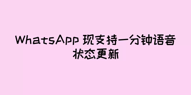 WhatsApp 现支持一分钟语音状态更新